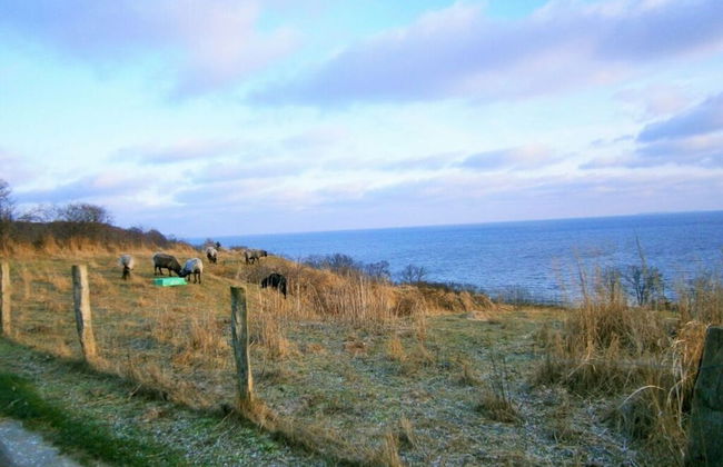 Apartment Baltic Sea - Foto 17