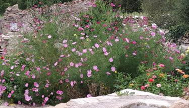 Casa Rural Caseta de l' Hort - Foto 5, Garden