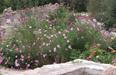 Casa Rural Caseta de l' Hort - Foto 5
