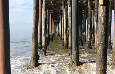 Spruce Beach Cottage - Walk to beach - Photo 36