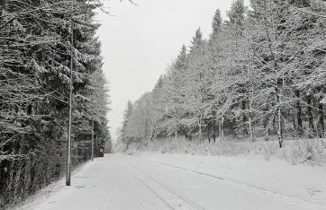 Bergwiesnblick Apartments - Foto 46