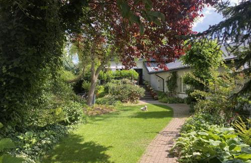 House of Art - Foto 21