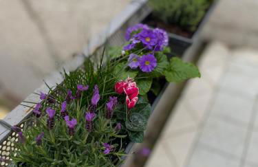 Apartment on Bergstraße - Foto 36