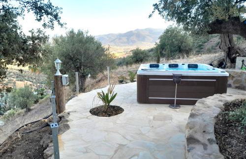 Rural cottage VINCENT van Gogh, with spectacular pool & OPTIONAL private 6 guests jacuzzi - Foto 45