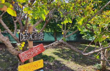 Quinta da Ponte das Hortas 2 - Foto 23