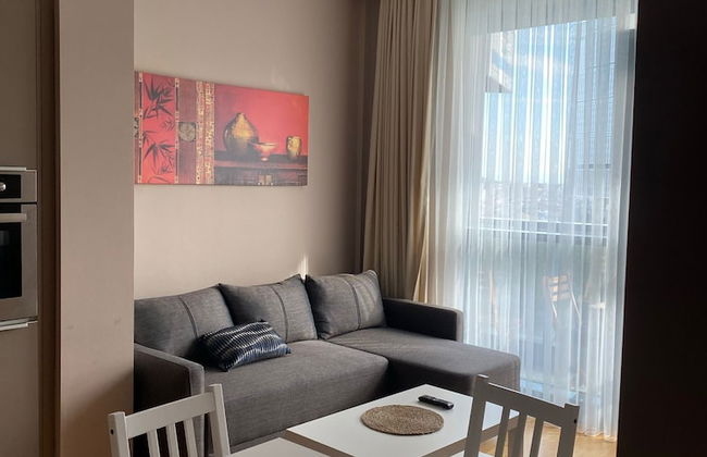 Deluxe 11 Unit For Rent In Centre Of Istanbul - Photo 14