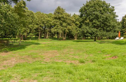 Briar Hill - Foto 21