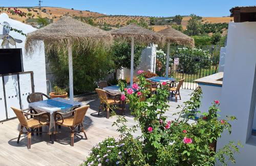 The Dragonfly Retreat - Photo 7