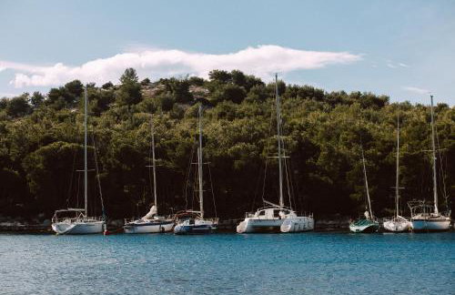 Alexandra Apartments - Foto 63