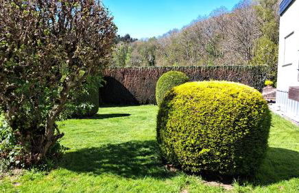 EL MIRADOR - Ferienwohnung Nähe Nürburgring - Eifel - Ahr - Rhein - RENOVIERT - Foto 27