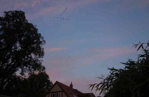 Fachwerkhaus am Fluss - Foto 43