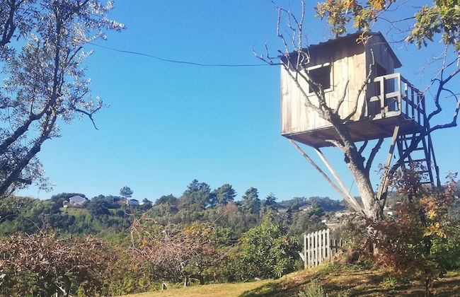 Casa da Mouta - Douro Valley - Foto 20