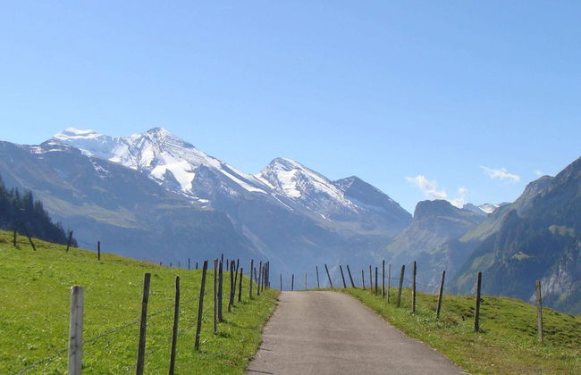 Luxurious Chalet in Habkern With Private Garden - Foto 21