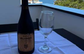 Vizion Mar Vidigal - Foto 7