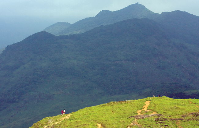 Excursão com Trekking nas Colinas Douradas (Ponmudi) - Foto 2