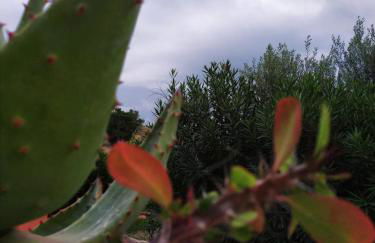 casa vacanza rosariomaria - Foto 34