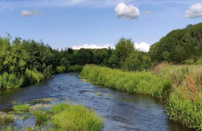 4 Person Holiday Home in Ansager-by Traum - Foto 38