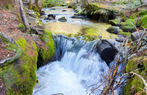 Snow Shire Cabin - Meredith Lodging - Foto 62