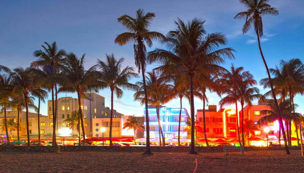 Miami Night Bus Tour - Photo 2