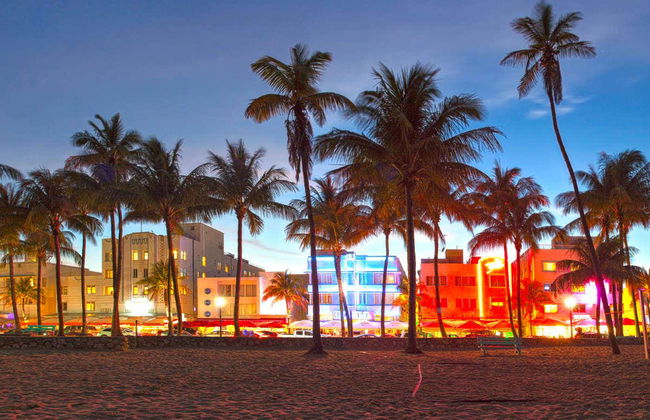 Miami Night Bus Tour - Photo 2