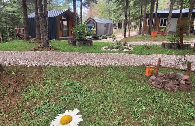 Tumba Sisli Vadi - Foto 79