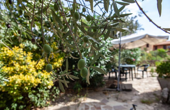 FANTASTICO PORTO OTTIOLU - Photo 42