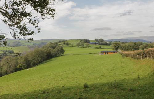 Bryn Eiddon Log Cabin - Photo 37