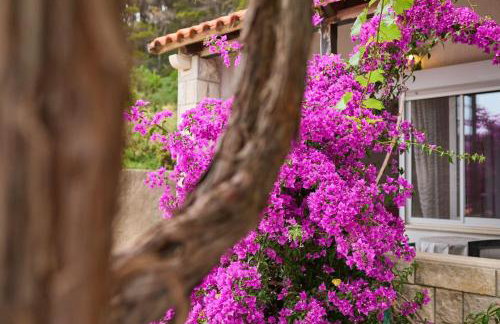 Apartments Hansal - Photo 33