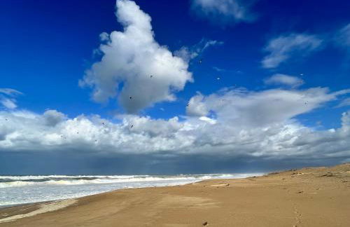 Ecrin de verdure Entre forêt et océan - Foto 27