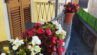 Casa Maria - Photo 5