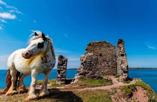 The Hut@Trefechan Wen - Coastal Coziness! - Photo 59