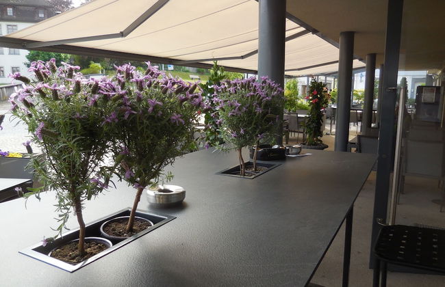 Apartment Dufour - Foto 19