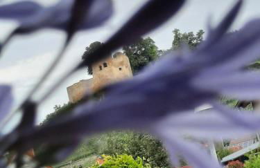 Apartment Rosalie Burgblick EuropaPark in ca 15min erreichbar - Foto 48