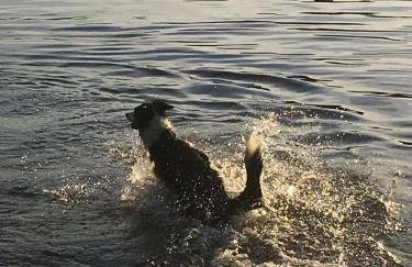 Kamień na Kaszubach - Foto 25