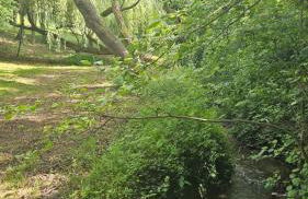 Les Rochelles - Foto 11