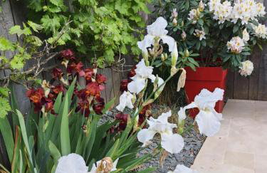 Maison à Lancieux de plain pieds avec cour fermée - Foto 22