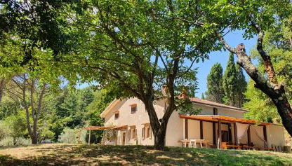 Stirpe nel Bosco - Fiocco - Foto 3