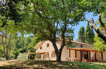 Stirpe nel Bosco - Fiocco - Foto 3