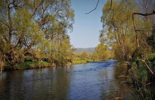Delightful Holiday Home in Battenberg Near Forest - Foto 113