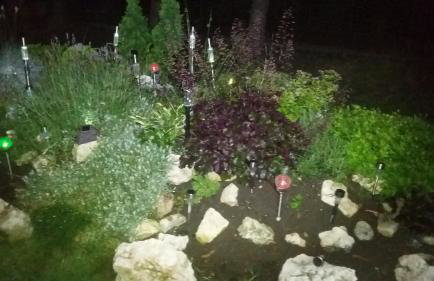 Apartamenty Nad Wisłą - Foto 27