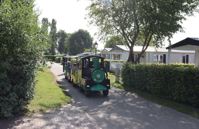 3 bedroom House in Udenhout with swimming pool and garden - Photo 16