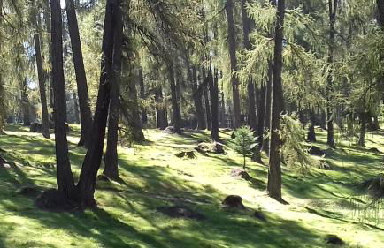 Le Skisun - Altitude 1800 - Puy Saint Vincent - Massif et Parc national des Ecrins - Foto 31