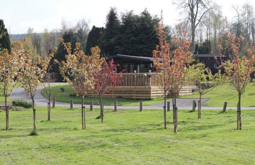 HEDDFAN, Luxury 3 bedroom timber lodge, Now with WiFi, Caer Beris Holiday Park, Builth Wells, SORRY NO TRADESMEN OR CONTRACTORS ALLOWED - Foto 26