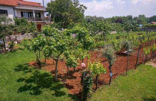 Apartment Sandra - Foto 10