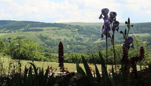 Location authentique avec cheminée et toit de chaume, proche nature et activités à St-Front - FR-1-582-291 - Foto 5