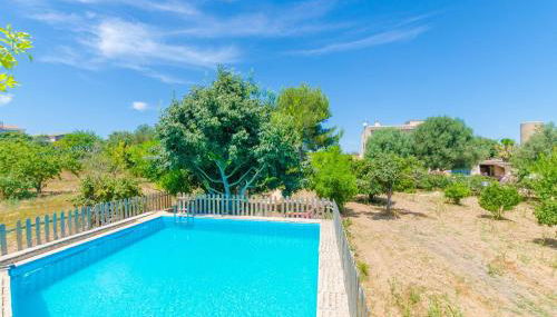 Hort De Can Bou in Porreres - Foto 3