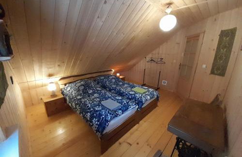 Pod Bieszczadem - Foto 5