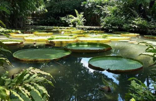 A cozy apt in the heart of Nazareth - Foto 60