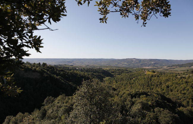 Agriturismo Walden - Photo 13