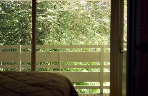 Little Pol - Foto 26